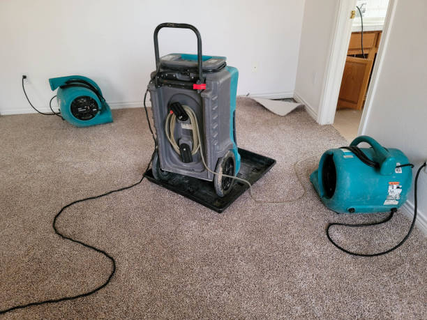 Best Residential water damage restoration  in Solana Beach, CA
