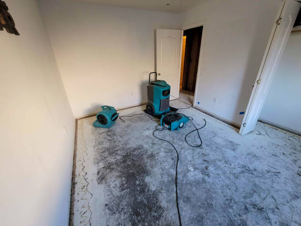 Water damage restoration mold remediation in Solana Beach, CA