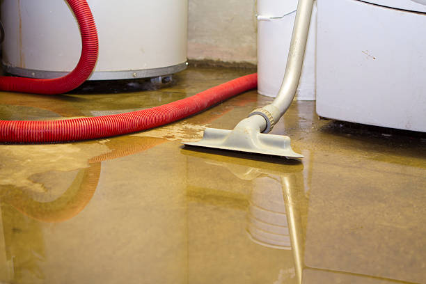 Best Flood restoration services  in Solana Beach, CA