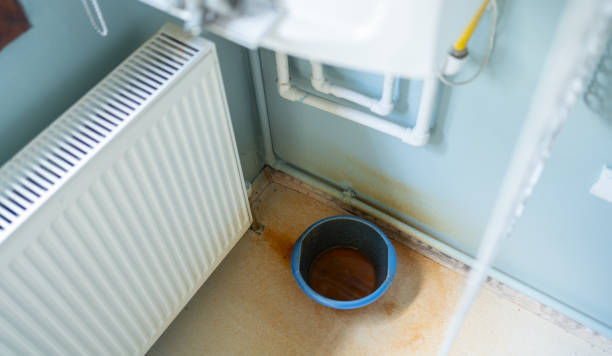 Best Flooded house restoration  in Solana Beach, CA