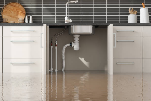 Best Sewage cleanup and water damage restoration  in Solana Beach, CA