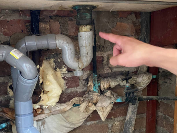 Best 24-hour water damage restoration  in Solana Beach, CA