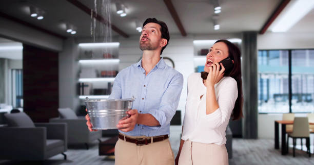 Best Professional water damage repair  in Solana Beach, CA