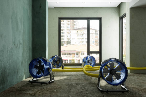 Best Carpet water damage restoration  in Solana Beach, CA