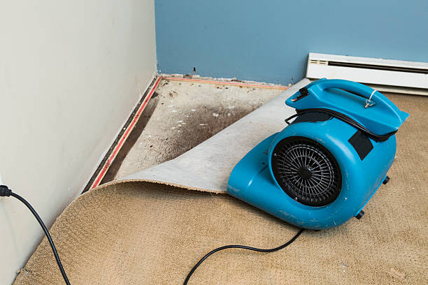Best Water damage restoration near me  in Solana Beach, CA